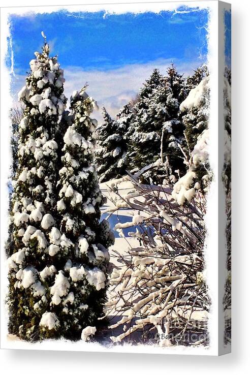 Snow Canvas Print featuring the photograph Spring Snow by Veronica Batterson