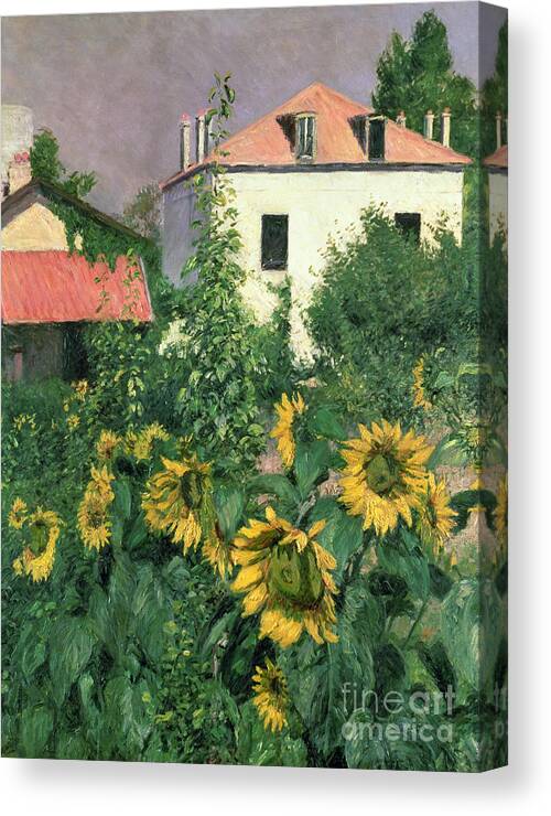 House; Sunflower; Sunlight; Rooftop; Window; Foliage; Flowers; Outskirts Of Paris; Tournesol; Tournesols Canvas Print featuring the painting Sunflowers in the Garden at Petit Gennevilliers by Gustave Caillebotte