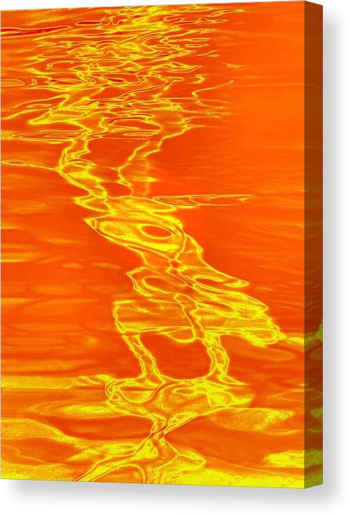 Abstract Canvas Print featuring the photograph The Druid by Abbie Loyd Kern