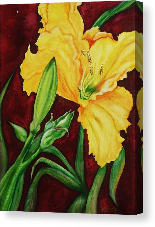 Daylily Canvas Print featuring the painting The Forgotten by Lil Taylor