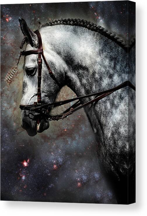 Horse Canvas Print featuring the photograph The Horse Among the Stars by Jenny Rainbow