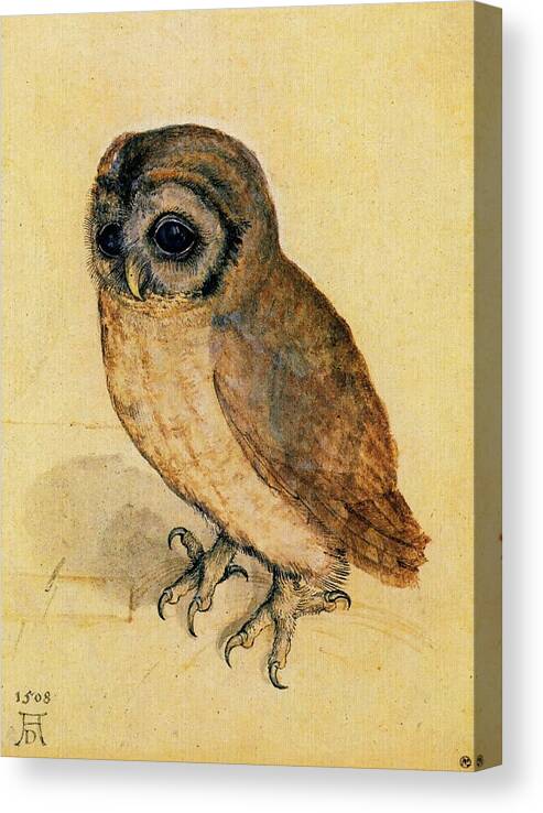 Owl Canvas Print featuring the painting The Little Owl by Albrecht Durer