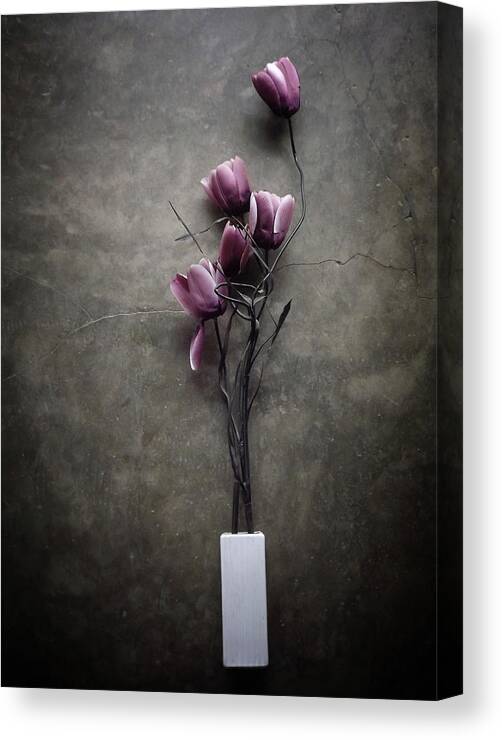 Flower Canvas Print featuring the photograph The Purple Tulip by Kahar Lagaa