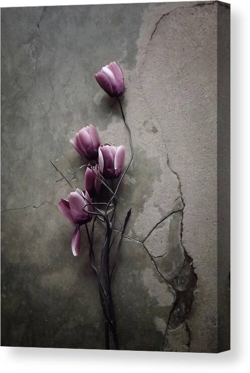 Flower Canvas Print featuring the photograph The Tulip by Kahar Lagaa