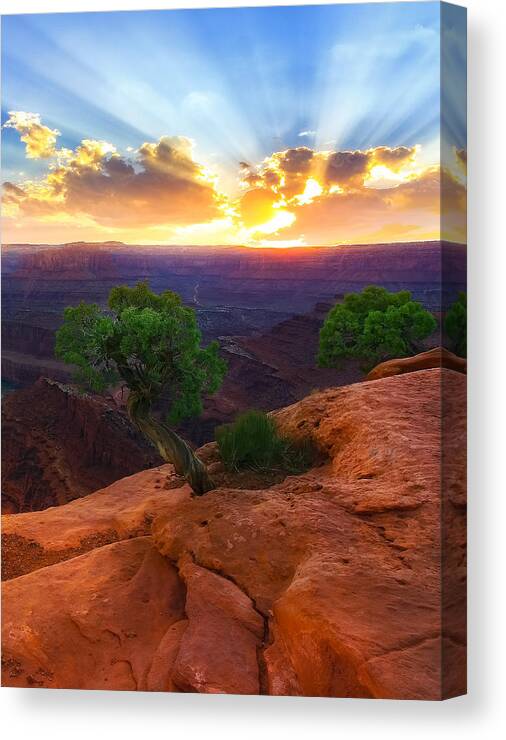 American Canvas Print featuring the photograph The Way Of Life by Kadek Susanto