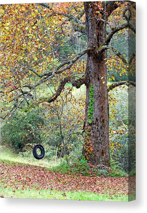 Duane Mccullough Canvas Print featuring the photograph Tire Swing and Poplar Tree by Duane McCullough