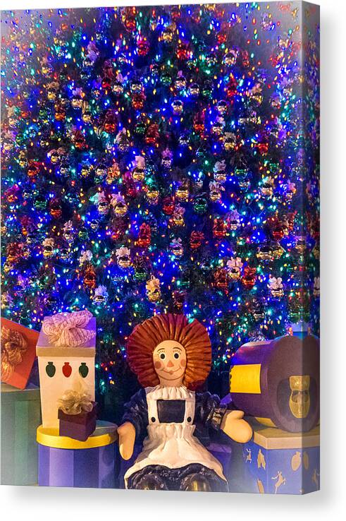 Raggedy Canvas Print featuring the photograph Toyland by Will Wagner