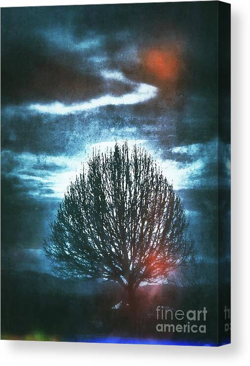 Tree Canvas Print featuring the photograph Tree is Not Lost by Patricia Januszkiewicz