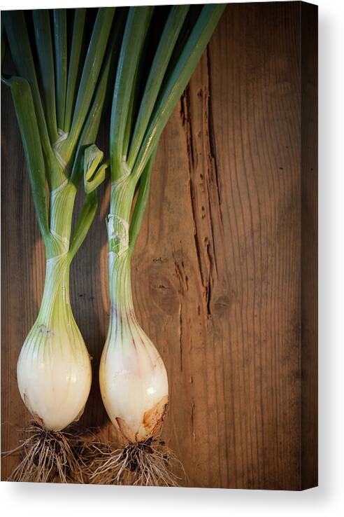 Wood Canvas Print featuring the photograph Two Onions by Peter Chadwick Lrps