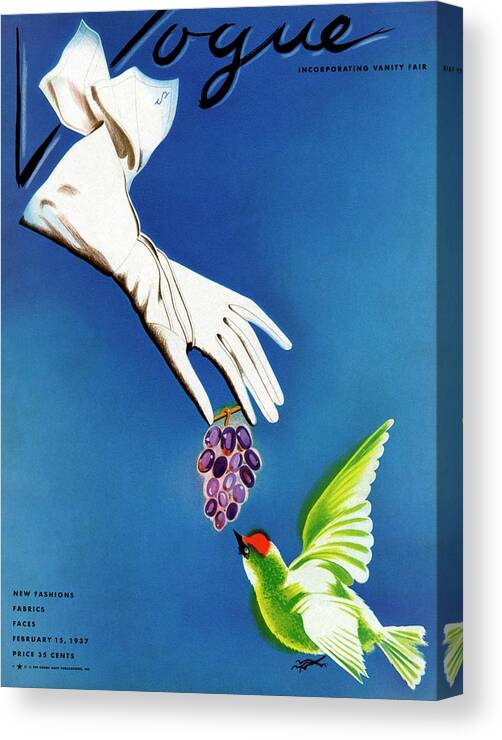Illustration Canvas Print featuring the photograph Vogue Cover Illustration Of White Gloves by Raymond de Lavererie