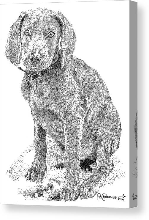 Dog Canvas Print featuring the drawing Weimaraner by Rob Christensen