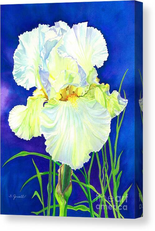 Flower Canvas Print featuring the painting White Iris by Barbara Jewell