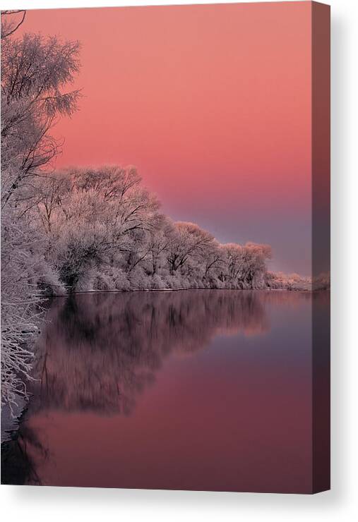 Idaho Canvas Print featuring the photograph Winter Color by Leland D Howard
