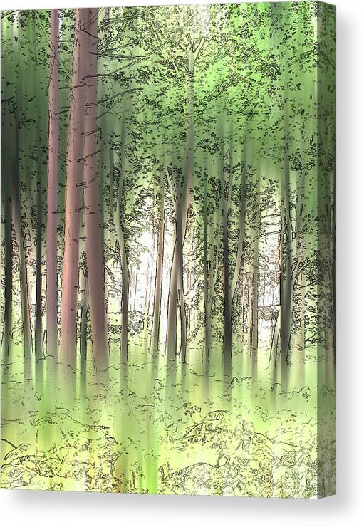 Beautiful Canvas Print featuring the photograph Woodland Trees In Summer by Ikon Ikon Images