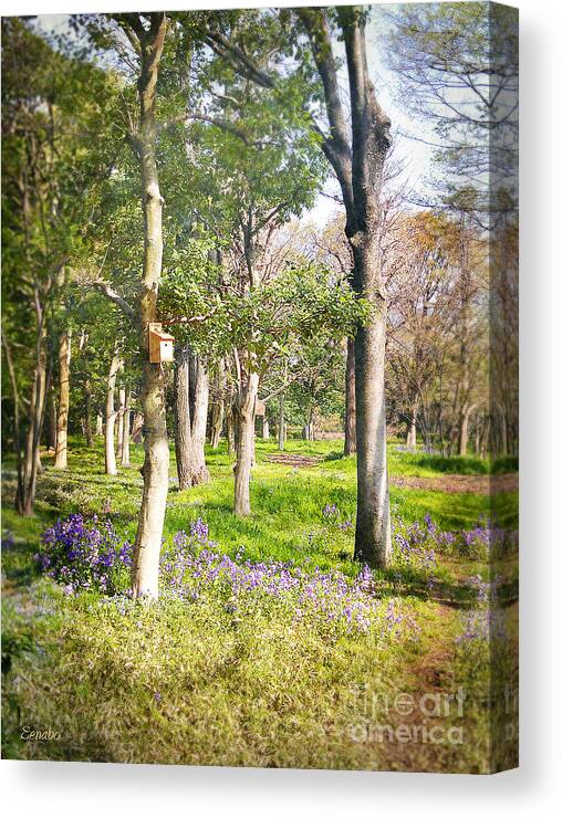 Tree Canvas Print featuring the photograph Spring Awakening #1 by Eena Bo