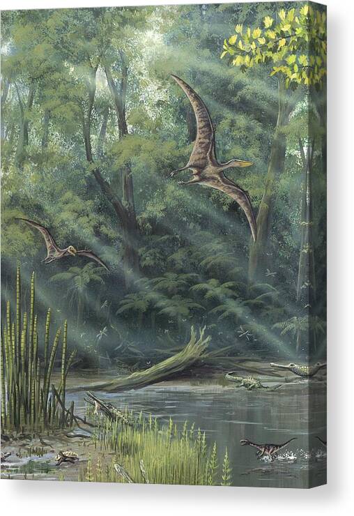 Pterodactyl Canvas Print featuring the photograph Jurassic Life, Artwork #3 by Richard Bizley