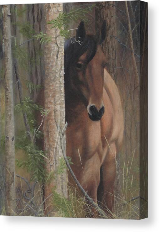 Horse Behind Tree Canvas Print featuring the painting Bashful by Tammy Taylor