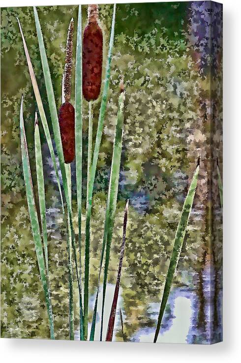 Cattails Canvas Print featuring the photograph Cattails Along the Pond by Don Schwartz