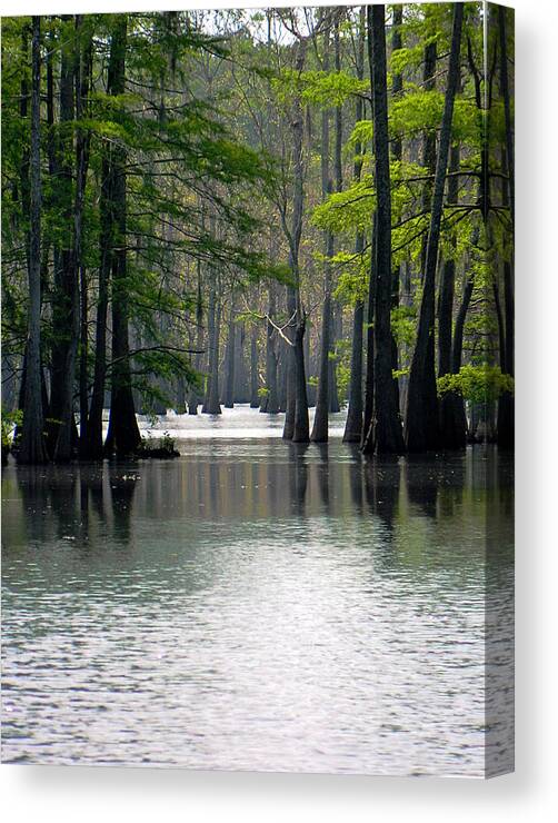 Lake Canvas Print featuring the photograph Cheniere Lake in Louisiana by Ester McGuire