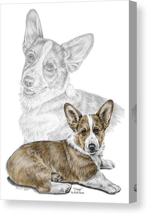 Corgi Canvas Print featuring the drawing Corgi Dog Art Print color tinted by Kelli Swan