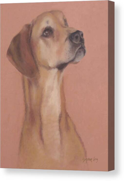 Great Dane Canvas Print featuring the pastel Demo the hero dog by Suzanne Giuriati Cerny