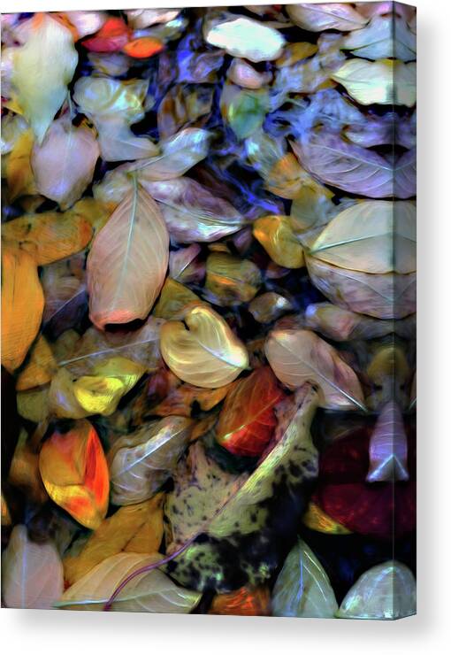 Fallen Leaves Canvas Print featuring the digital art Fallen Leaves by Don Wright
