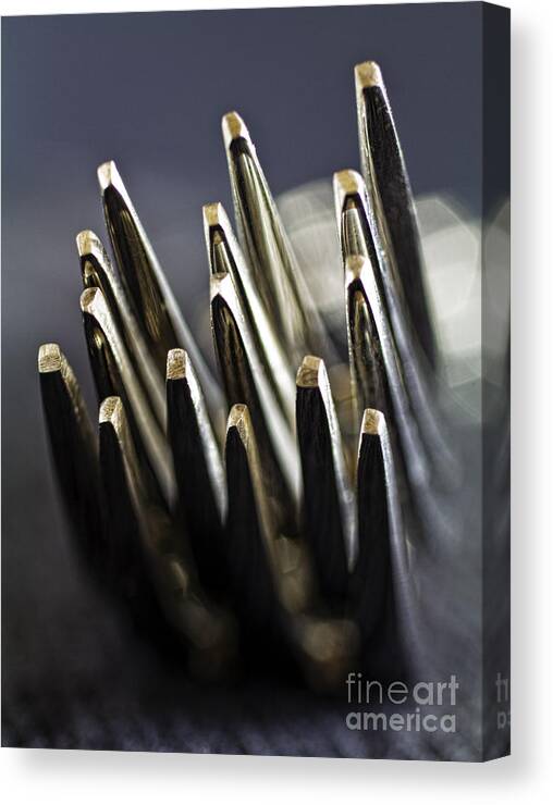 Forks Canvas Print featuring the photograph Fork-it by Elena Nosyreva