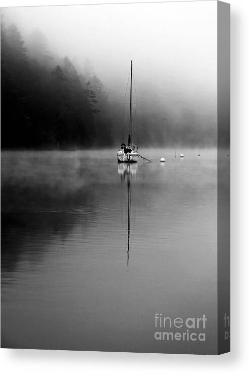 Fog Canvas Print featuring the photograph Into the Fog by Brenda Giasson