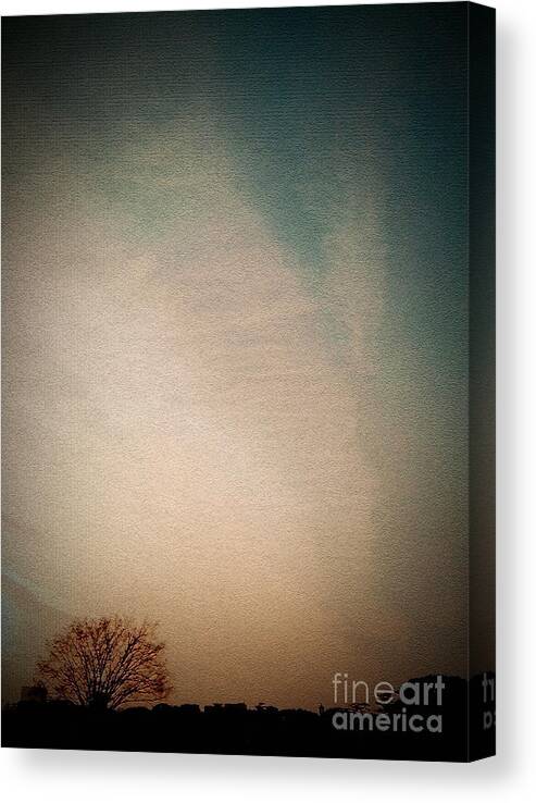 Tree Canvas Print featuring the photograph Lonely Tree by Eena Bo