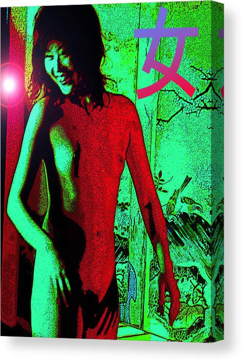 Woman Canvas Print featuring the digital art Look by Tim Ernst