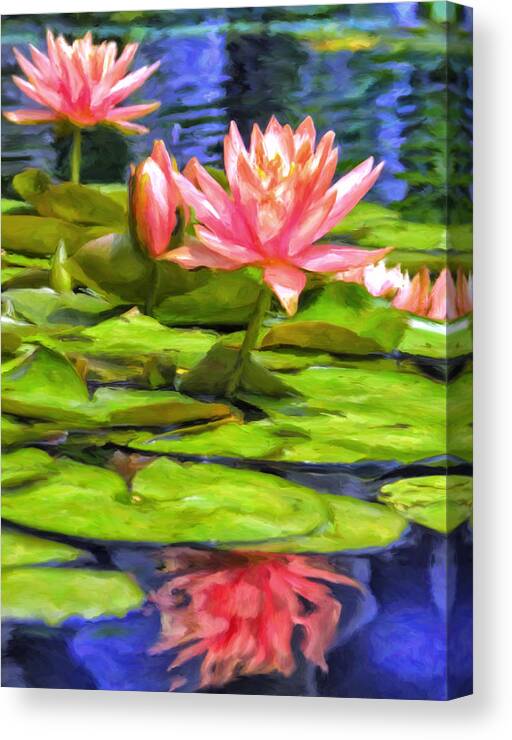 Water Lily Canvas Print featuring the painting Lotus Blossoms by Dominic Piperata
