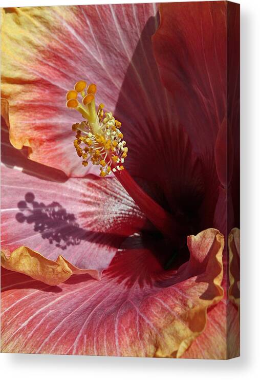 Hibiscus Canvas Print featuring the photograph Me and My Shadow by Chris Anderson