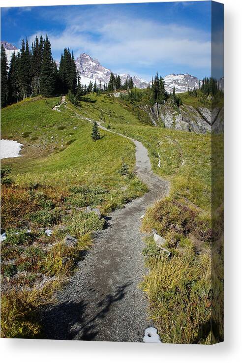 Mount Rainier Canvas Print featuring the photograph Mountain Path by Lynn Wohlers