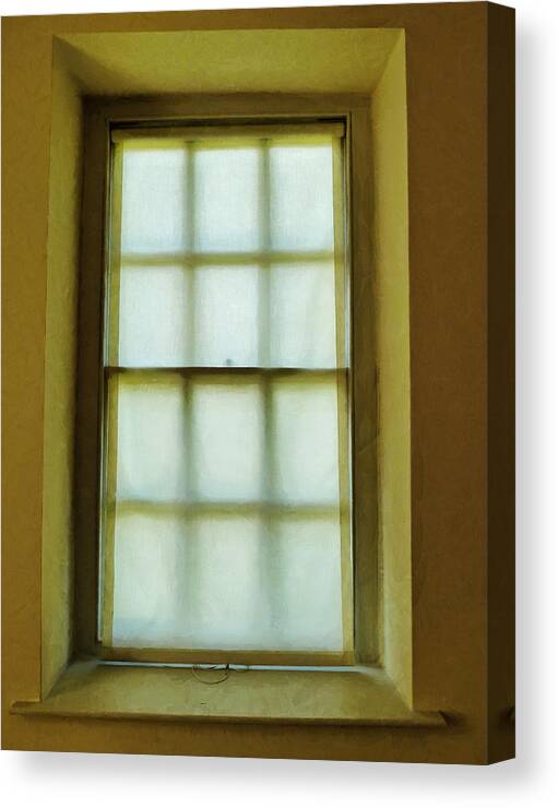 Window Canvas Print featuring the photograph The Mustard Window by Steve Taylor