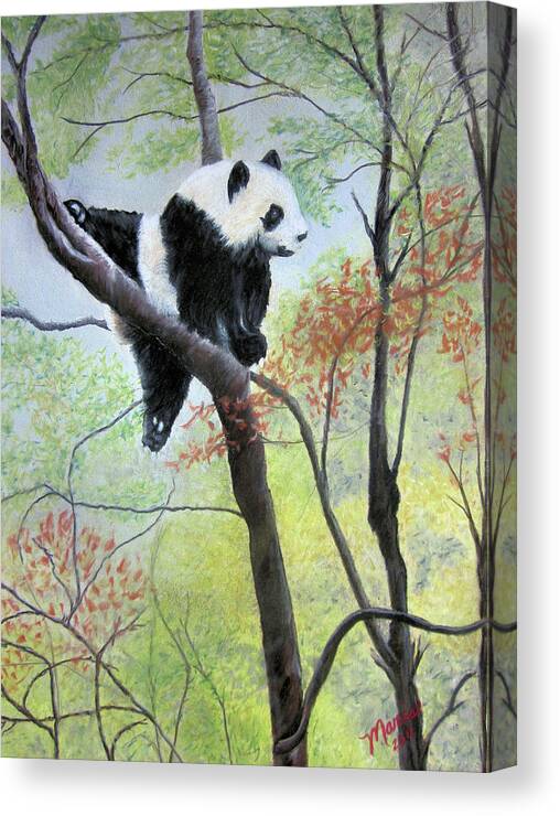 Panda Canvas Print featuring the pastel Up A Tree by Maris Sherwood