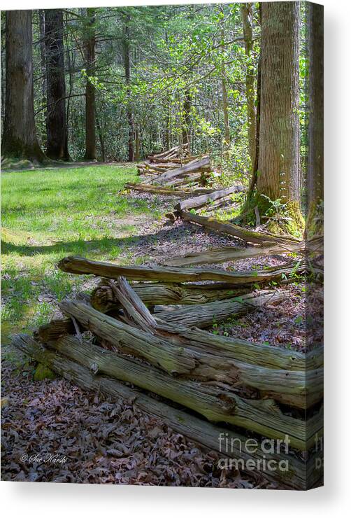 Smoky Mountains Canvas Print featuring the photograph Zigzag Fence by Sue Karski