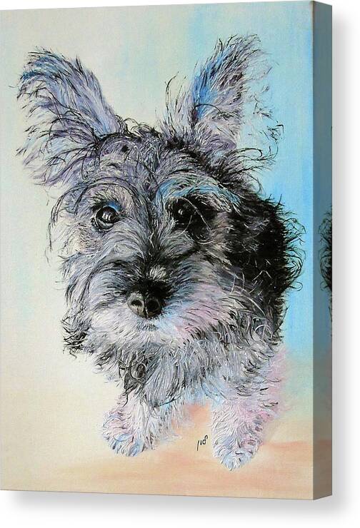 Cuddly Canvas Print featuring the painting Doggie #2 by Maria Woithofer