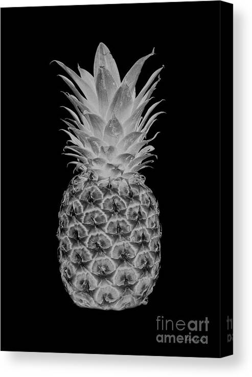 Abstract Canvas Print featuring the digital art 14b Artistic Glowing Pineapple Digital Art Greyscale by Ricardos Creations