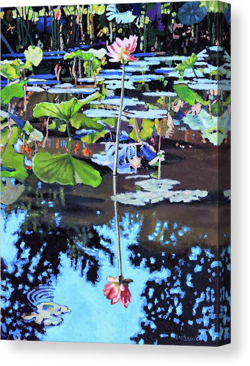 Garden Pond Canvas Print featuring the painting Lotus Reflections #3 by John Lautermilch