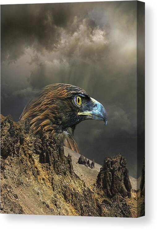Eagle Canvas Print featuring the photograph 3940 by Peter Holme III