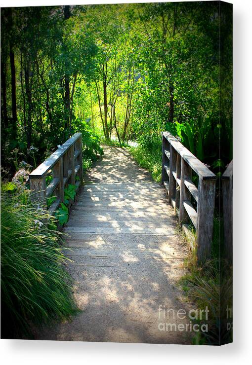 Garden Path Canvas Print featuring the photograph A Walk in the Park by Carol Groenen