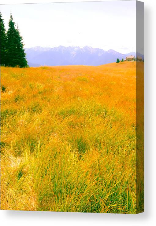 Field Canvas Print featuring the photograph Across the Summer Meadow by Ronda Broatch