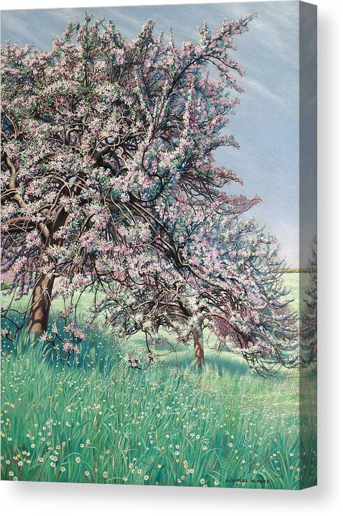 Carlos Schwabe Canvas Print featuring the painting Apple Blossom by Carlos Schwabe