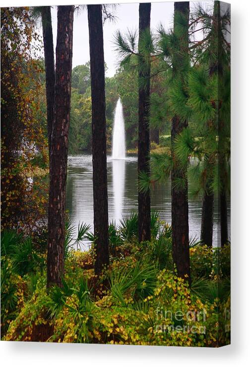 Water Canvas Print featuring the photograph Between the Fountain by Lori Mellen-Pagliaro