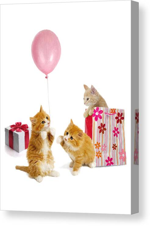 Balloon Canvas Print featuring the digital art Birthday Kitties by Bob Nolin