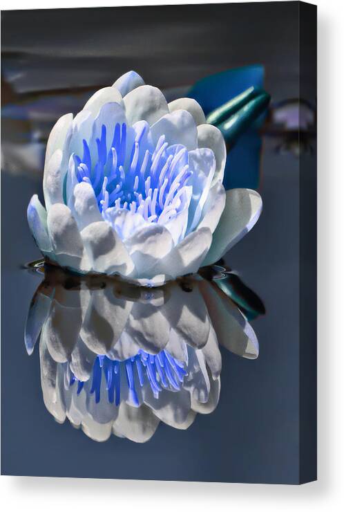 Blue Reflections Canvas Print featuring the photograph Blue Reflections by Wes and Dotty Weber