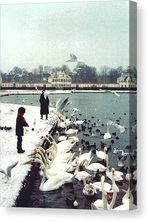 Swans Canvas Print featuring the photograph Boy Feeding Swans- Germany by Nancy Mueller