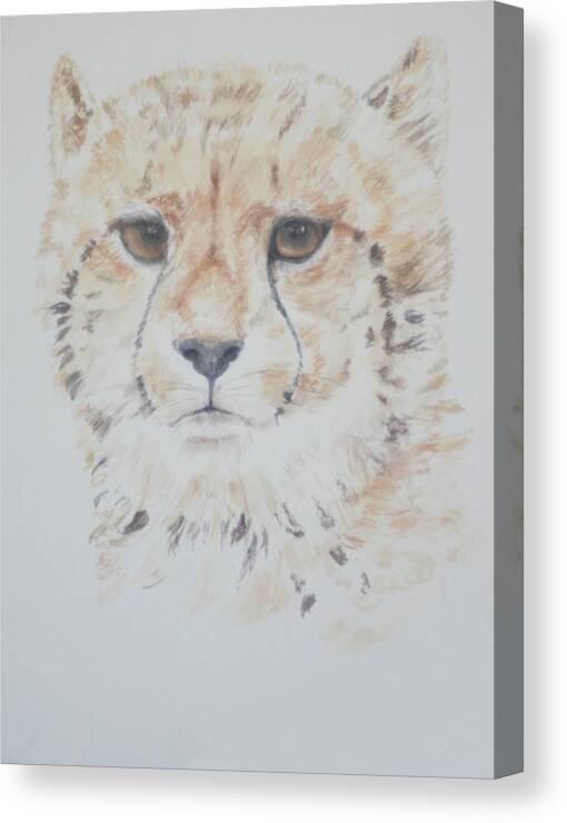 Cheetah Canvas Print featuring the painting Cheetah Cushion by David Capon