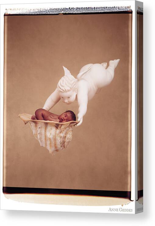 Polaroid Canvas Print featuring the photograph Cherub Holding Dominique by Anne Geddes