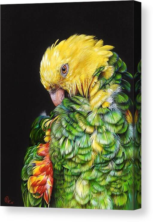 Wildlife Canvas Print featuring the drawing Colours of the jungle - Yellow-headed Amazon by Elena Kolotusha